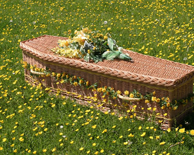 Family run Funeral Directors based in Totnes Devon for Green Funerals and Burial Funerals, covering Torquay, Newton Abbot, Exeter, Brixham, Paignton, South Devon and South Hams Green Funerals Newton Abbot, Green Funerals Torquay, Green Funerals Brixham, Green Funerals Ashburton, Green Funerals South Hams, allwood Green Funerals Totnes