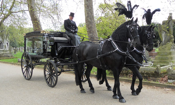 funeral hearse, funeral limousines, funeral horse and carriage, funeral motorcycle hearse, funeral vehicles 