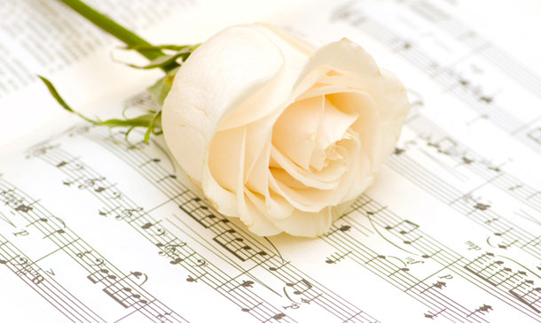 Family run Funeral Directors based in Totnes Devon for Cremation and Burial Funerals, covering Torquay, Newton Abbot, Exeter, Brixham, Paignton, South Devon and South Hams funeral directors newton abbot, funeral directors torquay, funeral directors brixham, funeral directors ashburton, funeral directors south hams, allwood funeral directors totnes