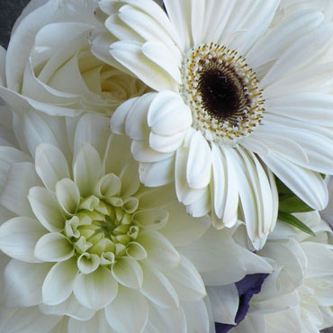 Family run Funeral Directors based in Totnes Devon for Cremation and Burial Funerals, covering Torquay, Newton Abbot, Exeter, Brixham, Paignton, South Devon and South Hams funeral directors newton abbot, funeral directors torquay, funeral directors brixham, funeral directors ashburton, funeral directors south hams, allwood funeral directors totnes