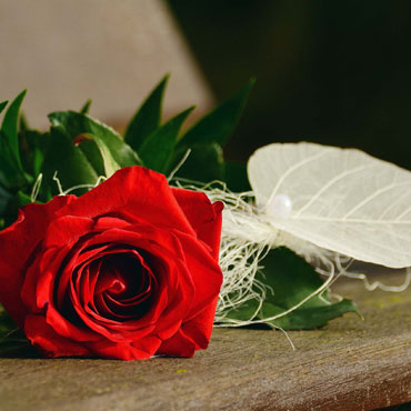Family run Funeral Directors based in Totnes Devon for Cremation and Burial Funerals, covering Torquay, Newton Abbot, Exeter, Brixham, Paignton, South Devon and South Hams funeral directors newton abbot, funeral directors torquay, funeral directors brixham, funeral directors ashburton, funeral directors south hams, allwood funeral directors totnes
