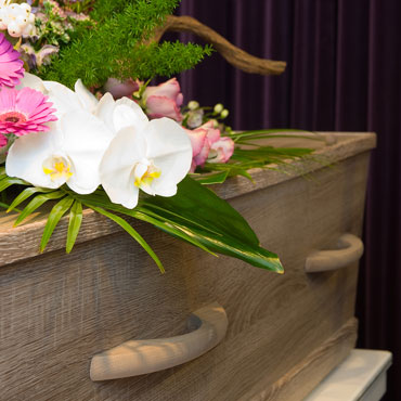 Family run Funeral Directors based in Totnes Devon for Cremation and Burial Funerals, covering Torquay, Newton Abbot, Exeter, Brixham, Paignton, South Devon and South Hams Funeral Directors Newton Abbot, Funeral Directors Torquay, Funeral Directors Brixham, Funeral Directors Ashburton, Funeral Directors South Hams, allwood Funeral Directors Totnes