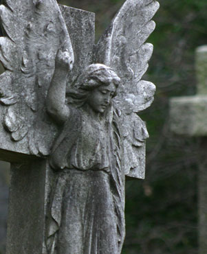 Family run Funeral Directors based in Totnes Devon for Cremation and Burial Funerals, covering Torquay, Newton Abbot, Exeter, Brixham, Paignton, South Devon and South Hams Funeral Directors Newton Abbot, Funeral Directors Torquay, Funeral Directors Brixham, Funeral Directors Ashburton, Funeral Directors South Hams, allwood Funeral Directors Totnes